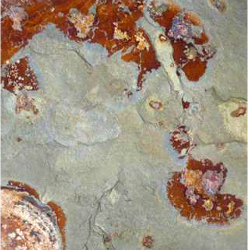 Rusty Yellow