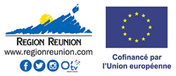 https://regionreunion.com/